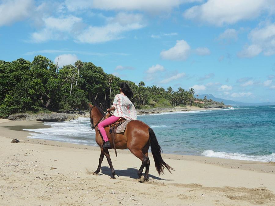 Sea Horse Ranch Villa La Mulata Kültér fotó